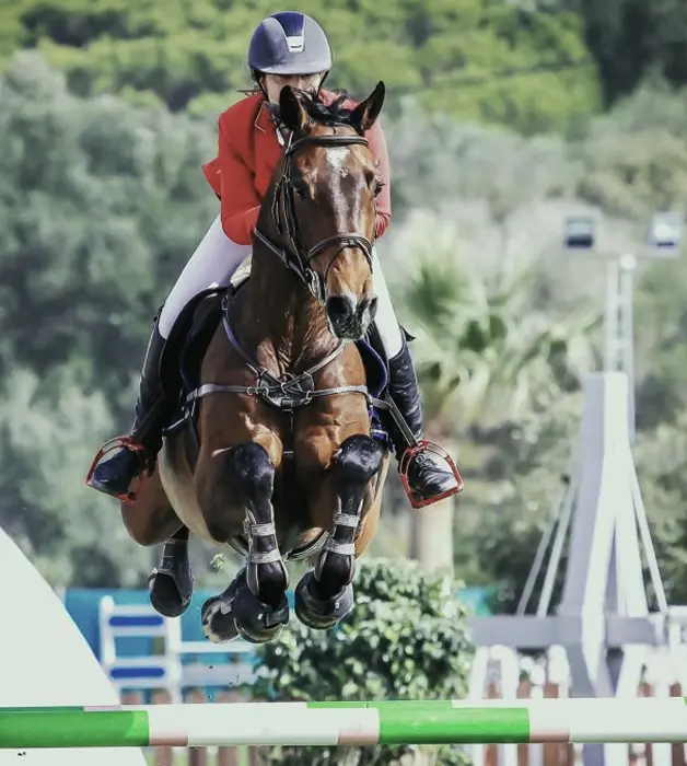 Jinete profesional saltando con caballo