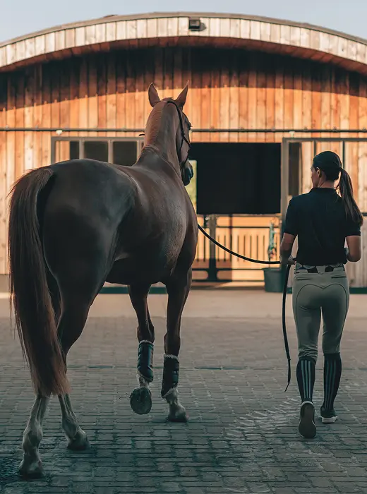 Propietario con su caballo en cuadra